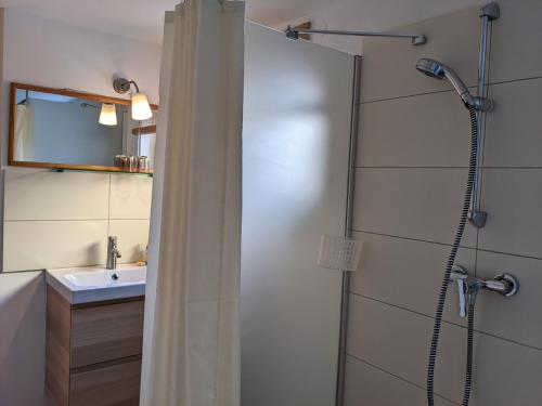 y baño con ducha y lavamanos. en Spatzennest und Rabennest, en Sugenheim
