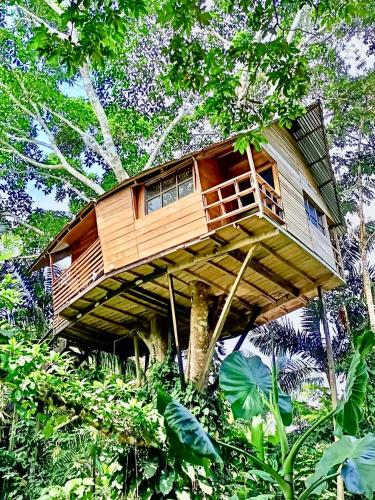 a tree house in the middle of the forest at Reserva Natural Natura Park in Puerto Nariño