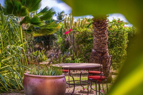 Zahrada ubytování Orient Bay Palm Court Residence 4 Stars