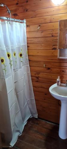 baño con cortina de ducha y lavamanos en Cabañas Tres Pinos en Sierra de la Ventana