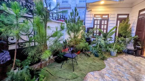 un jardín con palmeras y plantas frente a un edificio en Wasabi House - Homestay bên chợ đà lạt en Dalat