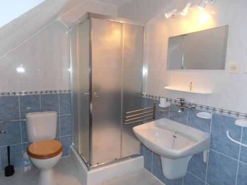 uma casa de banho com um chuveiro, um WC e um lavatório. em Apartment Veronika em Prední Vytoň