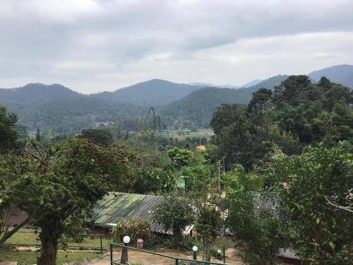 Gallery image of Forest Guesthouse in Samoeng