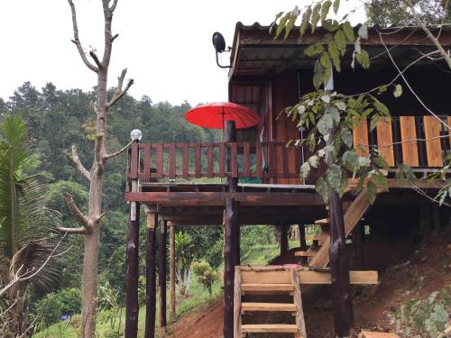 Gallery image of Forest Guesthouse in Samoeng