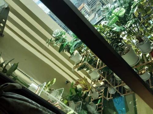 a room filled with lots of potted plants at Casa condo 5801/422 in Ban Na Song