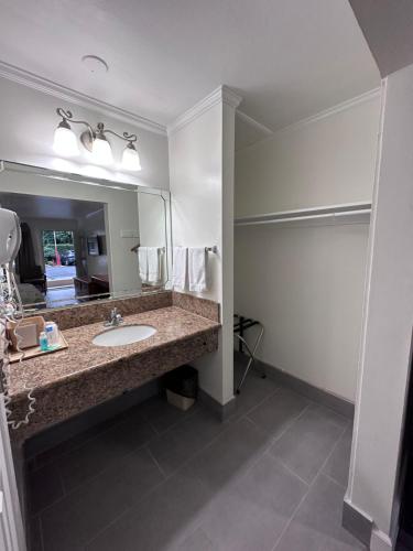 a bathroom with a sink and a large mirror at Willow Tree Lodge in Fullerton