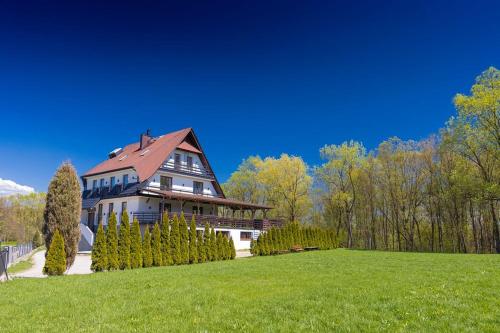 a large house on a green lawn with trees at Na Kamieńcu in Czarny Dunajec