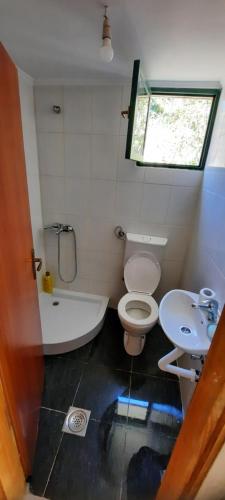 a bathroom with a toilet and a sink at Katun Mokra accommodation & horseback riding in Podgorica