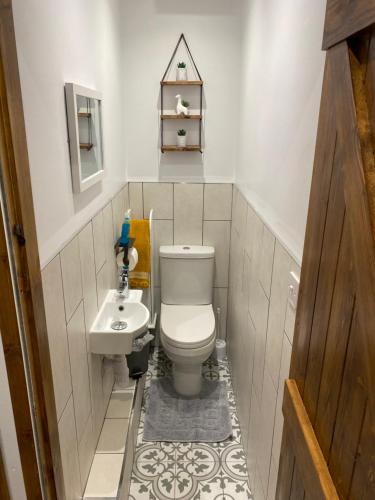 een kleine badkamer met een toilet en een wastafel bij Tegfan Victorian terrace Cottage Snowdonia Llanberis in Llanberis
