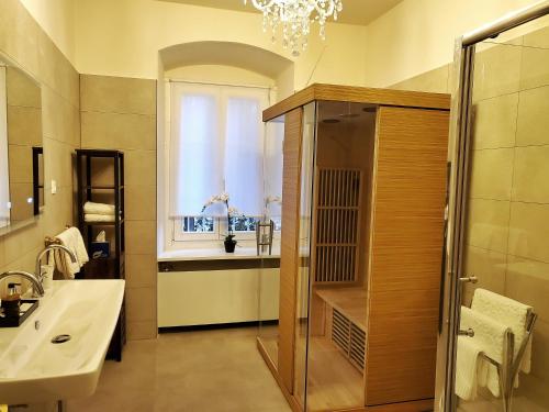 uma casa de banho com um chuveiro, um lavatório e uma janela em Palais Kneissl em Burgau