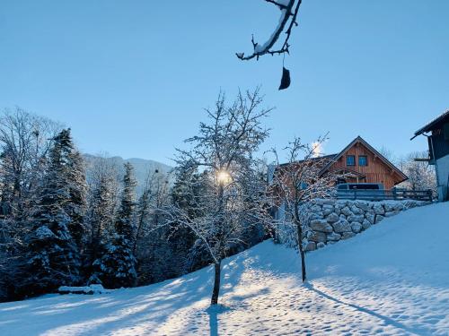 two trees in the snow in front of a house at Bergheimat in Bad Goisern
