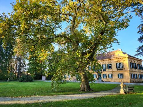 a large tree in front of a building at Palais Kneissl in Burgau