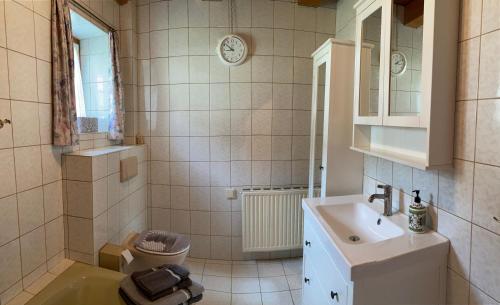 a bathroom with a sink and a toilet at Ferienhaus Gerlitzen in Köttwein