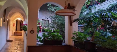 Gästehaus Einzingerにある庭
