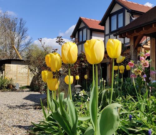 Ein Haufen gelber Tulpen vor einem Haus. in der Unterkunft Delightful & Picturesque Modern Detached Apartment, Next to Chester Zoo, Near Park and Ride to City Centre in Chester