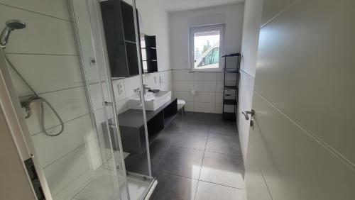 uma casa de banho com um chuveiro, um lavatório e um WC. em Luxus Ferienwohnung Irxleben em Irxleben