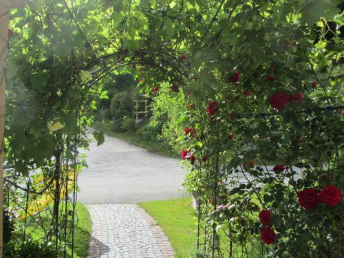 a garden arch with red roses on a road at Neurauthof in Zellberg