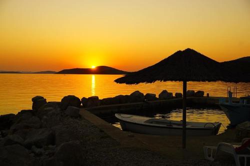 Robinson house Vitane