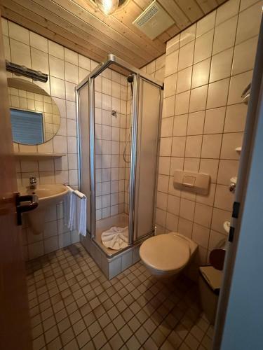 a bathroom with a shower and a toilet and a sink at Mike‘s Mosel Lodge in Treis-Karden