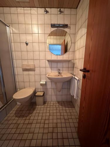 a bathroom with a sink and a toilet and a mirror at Mike‘s Mosel Lodge in Treis-Karden
