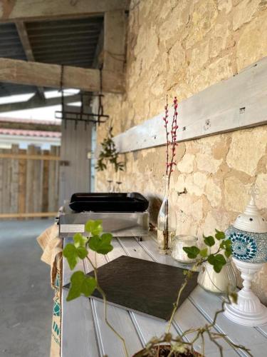 une table avec un vase et une plante sur elle dans l'établissement La possibilité d’une île, à Boyardville