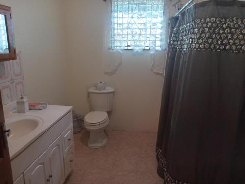 een badkamer met een toilet en een douchegordijn bij Twin Court Retreat in Port Antonio