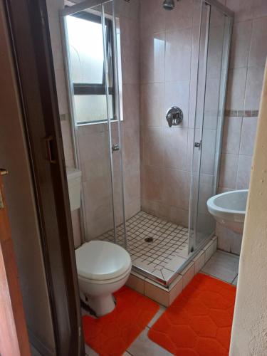 a bathroom with a shower with a toilet and a sink at sediba guest house in Krugersdorp