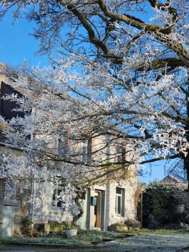 un árbol con flores blancas delante de una casa en Gîte 7ici, en Blaimont
