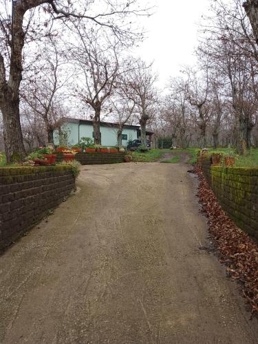 un vialetto in un parco con una casa sullo sfondo di Chalet immerso nel Bosco a Melfi
