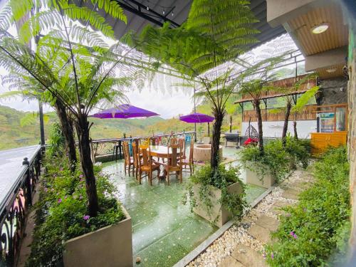 a patio with a table and chairs and trees at Pine Forest House Dalat in Xuan An