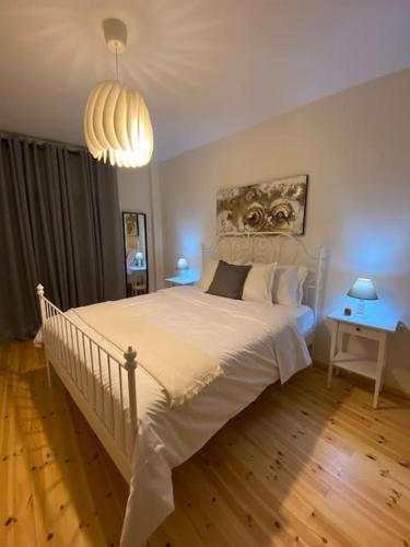 Elaiorama Apartment