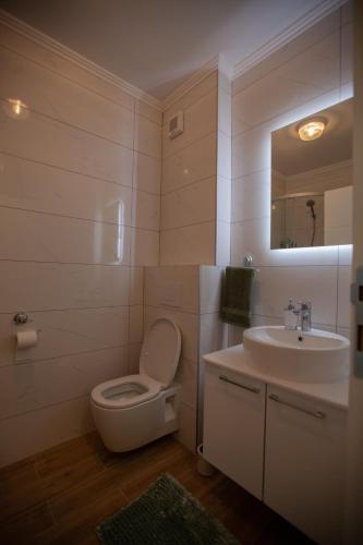 a bathroom with a toilet and a sink at Apartman Iskra in Trebinje