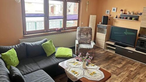 a living room with a couch and a tv at Bei den Heidebirken in Nossentiner Hütte in Nossentiner Hütte