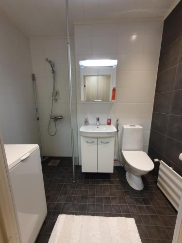 łazienka z toaletą i umywalką w obiekcie Kaksio keskustan vieressä w mieście Rovaniemi