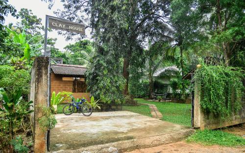 Taman di luar Clay House