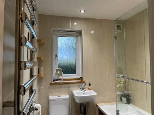 a bathroom with a toilet and a sink and a window at Princeland Lodge in Blairgowrie