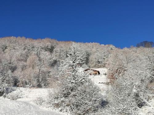a cabin in the middle of a snow covered forest at La dimora degli Angeli in Moggio