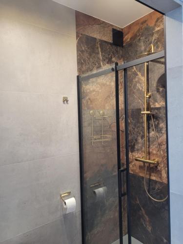 a shower with a glass door in a bathroom at Apartament Turystyczny z widokiem na jezioro in Charzykowy