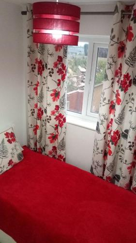 a bedroom with a red bed with curtains and a window at excessivEDemand home in Thorne