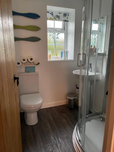 a bathroom with a toilet and a sink at Honeysuckle Cottage in Ilfracombe