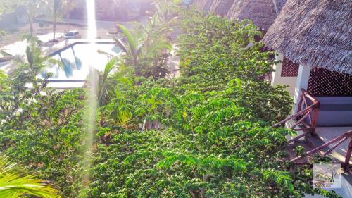 Jabali Bungalows Lodge – Photos 3