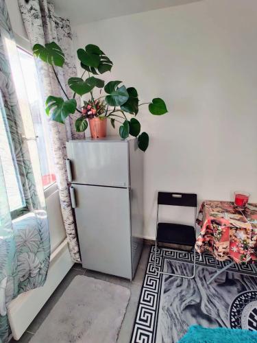 a kitchen with a refrigerator and a plant on top of it at à 30 minutes de tour Eiffel in Montreuil