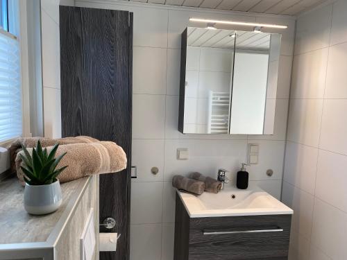 La salle de bains est pourvue d'un lavabo et d'un miroir. dans l'établissement Sauerland-Häuschen Kleine Auszeit, à Willingen