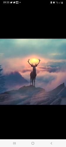una pintura de un ciervo parado en la cima de una montaña en Karma en Safi