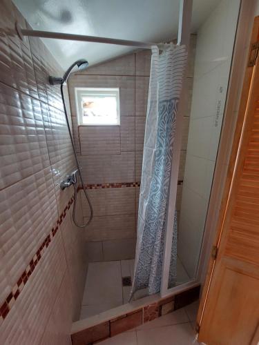 y baño con ducha y cortina de ducha. en Hospedaje Flover, en Puerto Varas