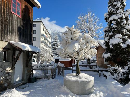 a snow covered yard with a tree and a building at ALP APARTMENTS centre location with traditional design and self check-in in Engelberg