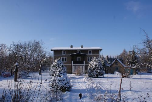 Dom z widokiem - Wilkanów 184 في Wilkanów: منزل كبير به أشجار مغطاة بالثلج في ساحة