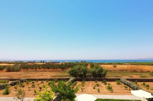 a garden with trees and the ocean in the background at The Nine Graces - Kastraki Villas with Private Swimming Pool in Kastraki Naxou