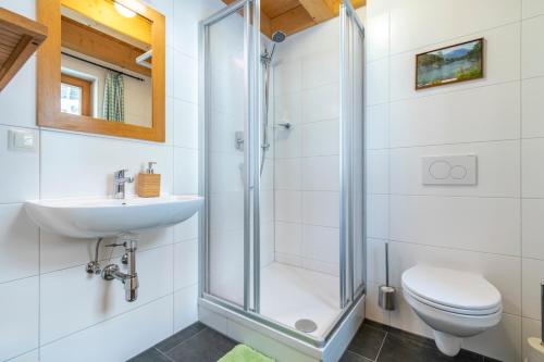 La salle de bains est pourvue d'une douche, de toilettes et d'un lavabo. dans l'établissement Veselý Svišť Chalet Lachtal, à Lachtal