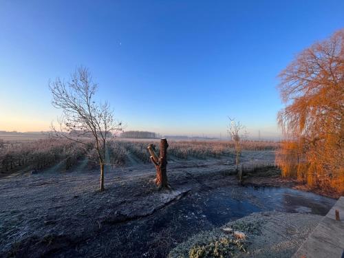 a tree stump in a field with a pond at Ferme du Grand Fresnoy in Molenbaix